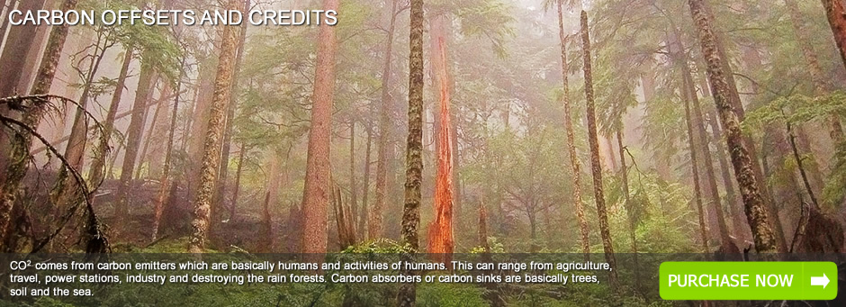 Carbon Credits