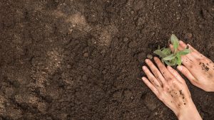 Africa soil for farming