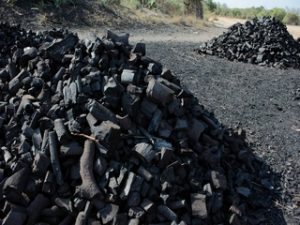 Local Charcoal producer