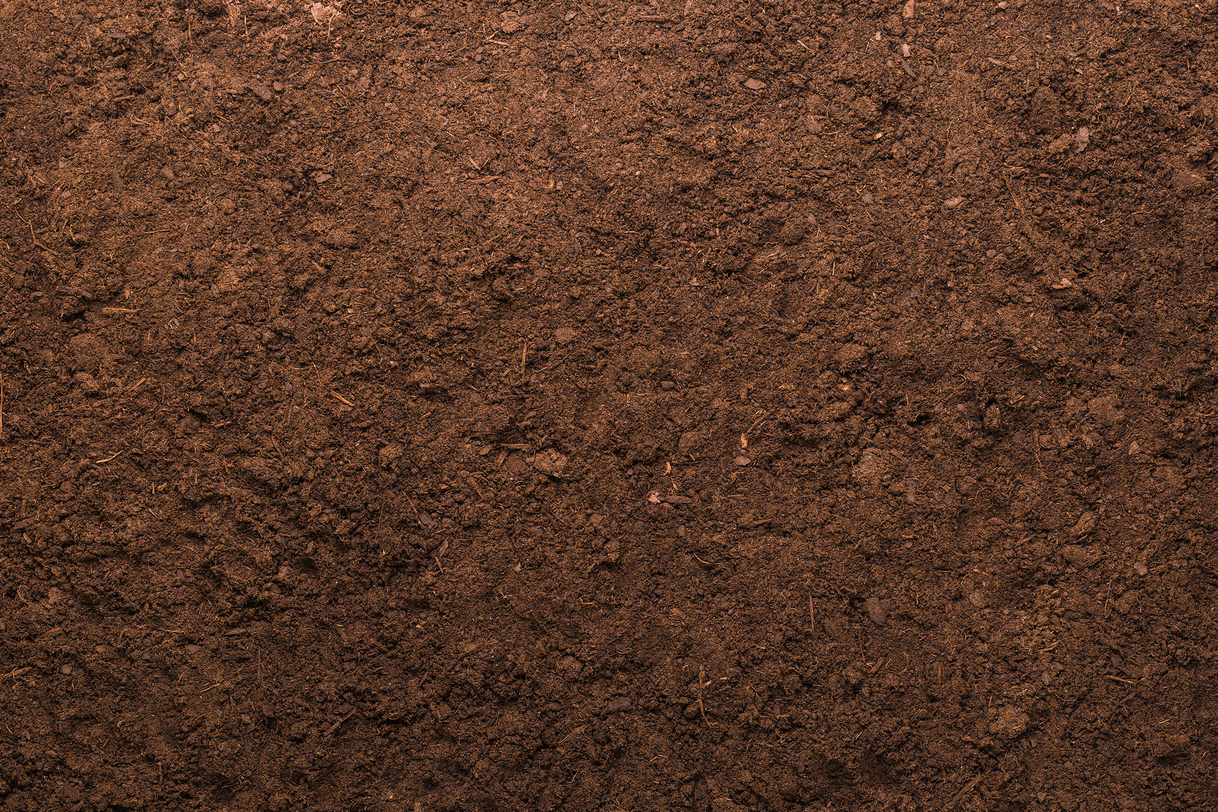 Soil Carbon