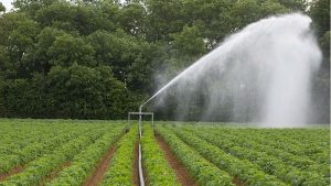 Fresh water is essential for food security