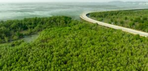 About Green Earth Africa