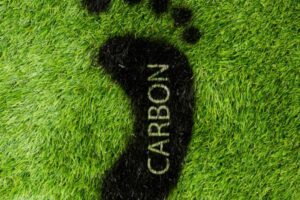 Commitment to Community and Sustainability