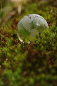 Environmental Conservation