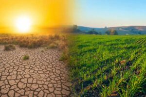 Empowering Change, One Offset at a Time
