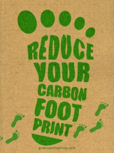Harnessing the Power of Carbon Offsets with Green Earth Africa