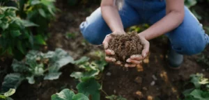 Regenerative Agriculture